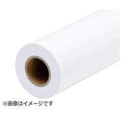 EPSON(エプソン) プロフェッショナルフォトペーパー＜薄手半光沢＞（約1030mm幅×30.5m）　PXMCB0R13 PXMCB0R13