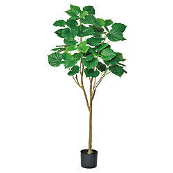 Leafy Plants - アスカ商会 フェイクグリーン　ウンベラータ　グリーン A-51039-051A A51039051A