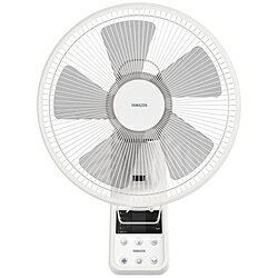 Yamazen - ヤマゼン 30cm 壁掛式扇風機　リモコン YAMAZEN YWX-E302 ［リモコン付き］ YWXE302