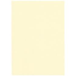 �廳���� ME-032 ����� ���� �� ���꡼�� 110g/m2 A4(15) 0.23mm ME032