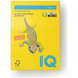 伊東屋 バイオトップカラー マスタード （A4／・250枚）　BT729 BT729