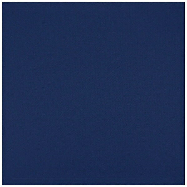 �ȥ쥷�� �ȥ쥷�� ̵�ϡʥͥ��ӡ���24��24cm A2424_YOO_G07