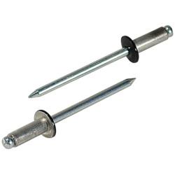 ���֥ƥå��� ���ӡ����顼�֥饤��ɥ�٥åȡ�300�����ˡ�����ߡ����ƥ����롡CNSA54BEB CNSA54BEB