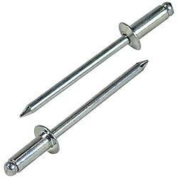 ���֥ƥå��� ���ӡ��֥饤��ɥ�٥åȡ�300�����ˡ����ƥ����롿���ƥ����롡NS56EB��NS56EB NS56EB