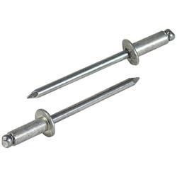 ロブテックス エビ　ブラインドリベット（100本入）　アルミ／アルミ　NA814EB　NA814EB NA814EB