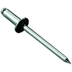 ���֥ƥå��� �֥饤��ɥ�٥åȡ�1000�����ˡ�����ߡ����ƥ����롡4-6��NSA46 NSA46