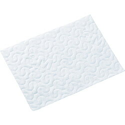 �X�R�b�`�u���C�g �t���A�p�h���C�V�[�g 18���� FW-DSM18