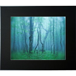 KenkoTokina(ケンコー・トキナー) ギャラリー 全紙 ブラック AGY-Z-BK AGY-Z-BK AGYZBK [振込不可]