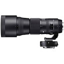 SIGMA(VO}) JY@150-600mm F5-6.3 DG OS HSM Contemporary eRo[^[LbgyLmEF}Egz 150600C+TC1401KIT [Us] [s]