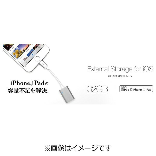 radius(ラディウス) iPad / iPad mini / iPhone / iPod対応　Lightning iOS専用外部ストレージ External Storage for iOS （32GB・シルバー）　AL- ALLCS21S 【864】