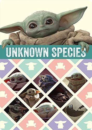 STAR WARS スター・ウォーズ 下敷き マンダロリアン IG-3379 インロック