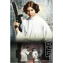 Dtimes Store㤨STAR WARS  3Dݥȥ ꥸʥ롦ȥ 쥤ɱ Princess Leia R2-D2 S3751 פβǤʤ550ߤˤʤޤ