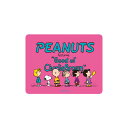 スヌーピー PEANUTS ステッカー 整列 pk SN1063N スモール・プラネット(3)