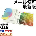 ポイント2倍【あす楽】DIC セルリング型 カラーチャート 最新版 メール便可 色見本帳 CMYK カラーチャート AMスクリーン カラー見本 色指定 標準色