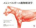 エレンベルガーの動物解剖学著者：ヴィルヘルム・エレンベルガー（Wilhelm Ellenberger）発行・発売：株式会社 ボーンデジタルISBN：978-4-86246-461-3総ページ数：320 ページサイズ：変形版（310×235 mm）発売日：2020年01月下旬100年を超えて愛される、動物解剖学の古典名著を復刻! !美しく描かれた精緻な画像からは、躍動する動物の息づかいまで聞こえてくるようです。動物を描く方には、表からは見えない構造を理解するリファレンスとしてお使いいただけます。架空の動物を創造する方には、クリーチャーに実在感のある構造を与えるリファレンスとして役立ちます。特長1精緻に描かれたオリジナル図版に加え、日本語版では新しく構造名を記した線画が加わりました。特長2筋肉や骨などの働きや、特徴を解説したテキストを収録。テキストはダウンロード可能。図版と見比べながら読み進められます。特長3オリジナル図版の生き生きとした描写をじっくり楽しめる、高解像度の画像と大判の判型です。本書は、ヴィルヘルム・エレンベルガー、ヘルマン・バウムによって1900年ごろから出版された書籍「Handbuch der Anatomie der Tiere fur Kunstler(芸術家のための動物解剖学)」を1冊にまとめた、翻訳・加筆版です。以下5巻を再現し、オリジナルの線画が加わっています。「第1巻ウマ」(出版年: 1898-1900)「第2巻ウシ」(出版年: 1896-1901)「第3巻ライオン」(出版年: 1905)「第4巻ヤギ・シカ・ノロジカ」(出版年: 1909)「第5巻グレートデーン」(出版年: 1911)エレンベルガーの解剖学書は、出版当時より影響力が大きく、美術解剖学、比較解剖学、家畜解剖学、獣医学など数多くの動物解剖学書に引用されました。現在もなお、多くの人々に、学術書としても、美術書としても愛読されています。美しい図版は、ヘルマン・ディットリッヒ(Dittrich、 Hermann. 1868-1946)によります。画家の手による精緻な図版は、動物と動物の解剖体の両方を観察して制作されました。ディットリッヒは、解剖写真そのものではなく、画面の中で生き生きとした状態に復元し、描き上げました。これが美術書としての価値を認められている理由です。【概要目次】はじめに「第1巻ウマ」「第2巻ウシ」「第3巻ライオン」「第4巻ヤギ・シカ・ノロジカ」「第5巻グレートデーン」ヴィルヘルム・エレンベルガー（Ellenberger、 Wilhelm. 1848-1929）は、ドレスデン獣医学校の解剖生理学の教授を務めた動物解剖学者。弟子で共著者のヘルマン・バウム（Baum、Hermann. 1864-1932）とともに、現代的な獣医解剖学および獣医生理学の始祖とされる。【あす楽】エレンベルガーの動物解剖学 ボーンデジタル 送料無料動物解剖学の古典名著を復刻