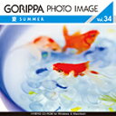 ごりっぱフォトイメージ34「夏」 CD-ROM素材集 送料無料 ロイヤリティ フリー cd-rom画像 cd-rom写真 写真 写真素材 素材