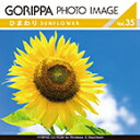 ごりっぱフォトイメージ35「ひまわり」 CD-ROM素材集 送料無料 ロイヤリティ フリー cd-rom画像 cd-rom写真 写真 写真素材 素材