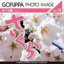 ごりっぱフォトイメージ18「さくら」 CD-ROM素材集 送料無料 ロイヤリティ フリー cd-rom画像 cd-rom写真 写真 写真素材 素材