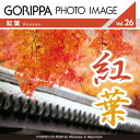 SS期間中ポイント2倍【あす楽】ごりっぱフォトイメージ26「紅葉」 CD-ROM素材集 送料無料 ロイヤリティ フリー cd-rom画像 cd-rom写真 写真 写真素材 素材