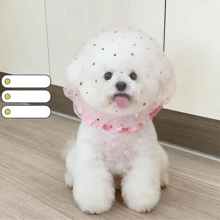 du-mit楽天市場店の4枚セット 口輪 犬 マズル しつけ用品 4枚セット 保護マスク 誤飲防止 ネット カバー 誤食防止 フェイスガード 保護フード 拾い食い防止 噛みつき防止 傷舐め防止 拾い食い防止 通気性抜群 簡単装着 虫除け 汚れ防止 フェイスカバー 小型犬 中型犬 大型犬 ペット用品｜アングル3