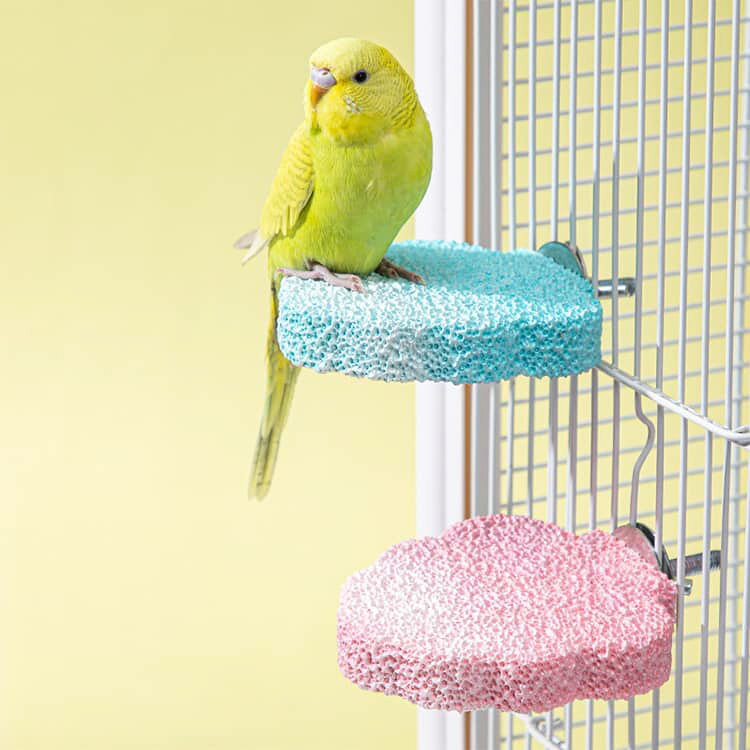 固定 鳥用止まり木 餌入れ ケージ エサ入れ インコ 滑り止め 2in1 爪とぎ 給水器 ...