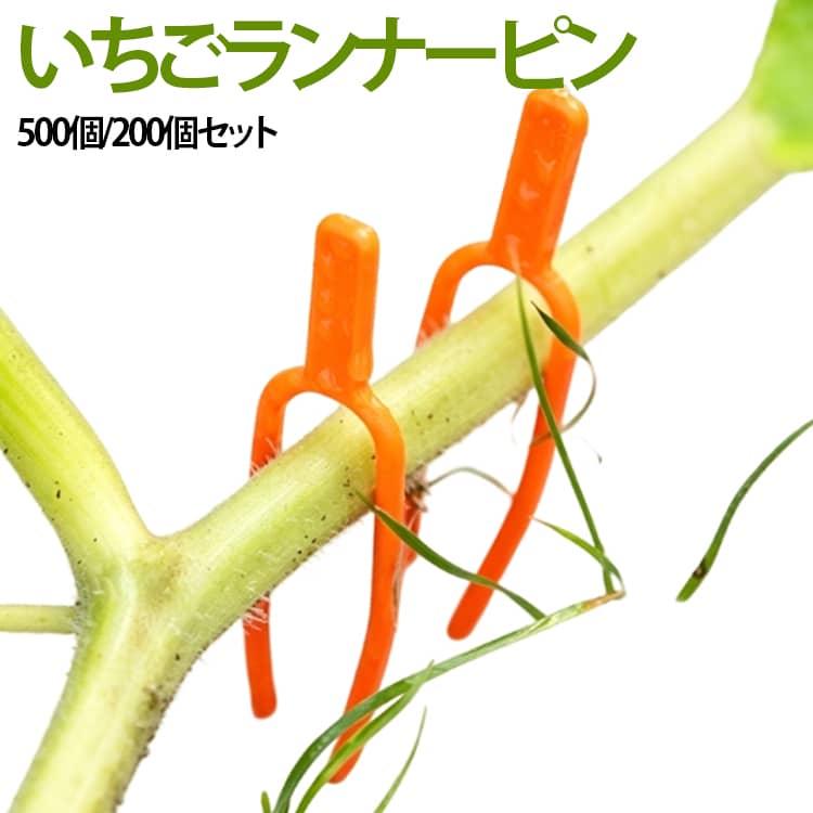 500個セット 誘引 ランナーピン 植物サポート トマトクリップ 園芸クリップ 500個セット 200個セット ランナーピン ガーデニングクリップ いちご 植物固定クリップ プラントクリップ 園芸用固定フォーク つる植物サポートクリップ