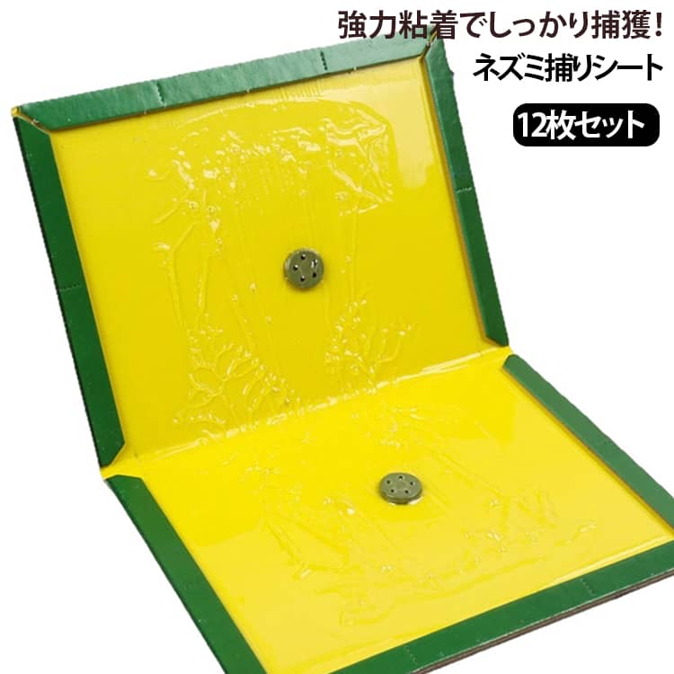 ネズミ対策に最適な粘着式捕獲シートです。殺鼠剤を使用できない場所でも安心して使える、人体に優しい方法でネズミを捕獲できます。非常に強力なポリブデン製の粘着剤を使用。確実にネズミを捕獲します。耐水仕様で水回りでも設置可能です。ネズミだけでなく、ゴキブリなどの害虫対策としても優れた効果を発揮します。置くだけで設置可能。家庭やオフィス、店舗など、様々な場所でお使いいただけます。 サイズ F サイズについての説明 10.5×20cm 素材 ポリブデン 色 12枚セット 備考 ●サイズ詳細等の測り方はスタッフ間で統一、徹底はしておりますが、実寸は商品によって若干の誤差(1cm～3cm )がある場合がございますので、予めご了承ください。 ●製造ロットにより、細部形状の違いや、同色でも色味に多少の誤差が生じます。 ●パッケージは改良のため予告なく仕様を変更する場合があります。 ▼商品の色は、撮影時の光や、お客様のモニターの色具合などにより、実際の商品と異なる場合がございます。あらかじめ、ご了承ください。 ▼生地の特性上、やや匂いが強く感じられるものもございます。数日のご使用や陰干しなどで気になる匂いはほとんど感じられなくなります。 ▼同じ商品でも生産時期により形やサイズ、カラーに多少の誤差が生じる場合もございます。 ▼他店舗でも在庫を共有して販売をしている為、受注後欠品となる場合もございます。予め、ご了承お願い申し上げます。 ▼出荷前に全て検品を行っておりますが、万が一商品に不具合があった場合は、お問い合わせフォームまたはメールよりご連絡頂けます様お願い申し上げます。速やかに対応致しますのでご安心ください。