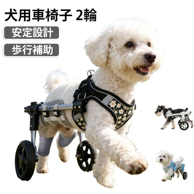 ・【安定感バツグン】前輪をワイドタイプに改良し、重心が安定してぐらつきにくく、でこぼこ道や屋外でもバランスよくスムーズに歩行できます。・【軽くて頑丈】車体フレームは強度を保ちつつ軽量化に成功し、小柄な飼い主さんでも持ち運びやすく、ワンちゃんの体への負担も軽減します。・【実心アルミ製後輪バー】後輪の接続バーは実心のアルミ合金製で従来より耐久性がアップし、中型犬・大型犬の体重もしっかり支える安心設計です。・【取っ手付き】車体に持ち上げ用のハンドルを搭載し、体調変化や段差などの急な状況にも素早く対応でき、外出時のストレスを軽減します。・【サイズ調節OK】胸囲・足回り・高さの調節が可能で、ビーグルやコーギーなど幅広い犬種にフィット。ご購入前にしっかり採寸いただくことで、愛犬にピッタリのサイズをご案内いたします。・【介護・リハビリに最適】足腰の弱ったシニア犬や後ろ足の不自由なワンちゃんの歩行をやさしくサポートし、毎日の介護・リハビリアイテムとして最適です。 サイズ XS S M L サイズについての説明 XS：背長（2輪）22～33cm・背長（4輪）27～38cm・胸囲36～46cm・背高31cmまでS：背長（2輪）22～33cm・背長（4輪）27～38cm・胸囲42～52cm・背高35cmまでM：背長（2輪）35～48cm・背長（4輪）40～53cm・胸囲46～56cm・背高36cmまでL：背長（2輪）35～48cm・背長（4輪）40～53cm・胸囲50～62cm・背高40cmまで 素材 アルミ合金、ポリプロピレン、ポリエステル 色 ブラック（2輪） ホワイト（2輪） ブルー（2輪） 備考 ●サイズ詳細等の測り方はスタッフ間で統一、徹底はしておりますが、実寸は商品によって若干の誤差(1cm～3cm )がある場合がございますので、予めご了承ください。 ●製造ロットにより、細部形状の違いや、同色でも色味に多少の誤差が生じます。 ●パッケージは改良のため予告なく仕様を変更する場合があります。 ▼商品の色は、撮影時の光や、お客様のモニターの色具合などにより、実際の商品と異なる場合がございます。あらかじめ、ご了承ください。 ▼生地の特性上、やや匂いが強く感じられるものもございます。数日のご使用や陰干しなどで気になる匂いはほとんど感じられなくなります。 ▼同じ商品でも生産時期により形やサイズ、カラーに多少の誤差が生じる場合もございます。 ▼他店舗でも在庫を共有して販売をしている為、受注後欠品となる場合もございます。予め、ご了承お願い申し上げます。 ▼出荷前に全て検品を行っておりますが、万が一商品に不具合があった場合は、お問い合わせフォームまたはメールよりご連絡頂けます様お願い申し上げます。速やかに対応致しますのでご安心ください。