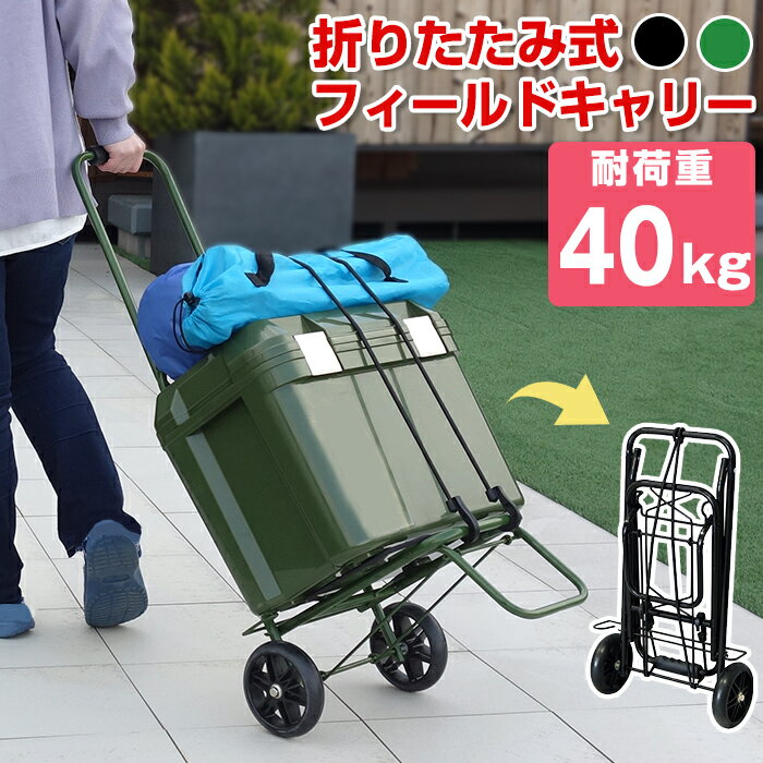 【大特価セール】折りたたみ キャリーカート フィールドキャリー グリーン 耐荷重40kg FDR-40L JEJアステージ 大型 台車 ハンドキャリー 持ち運び ブラック コンパクト おしゃれ キャリー キャンプ用品 フェス レジャー 海 海水浴 バーベキュー BBQ 便利 釣り 買い物 旅行