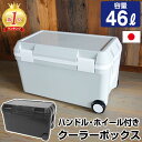クーラーボックス 46L 限定カラー 大型 収納ボックス 大容量 水抜き栓 ミリタリー クーラーバッグ キャンプ用品 フェス レジャー アウトドア 海 バーベキュー BBQ 便利 釣り ペットボトル モノトーン カッコイイ ブラック ライトグレー JEJアステージ【送料無料】