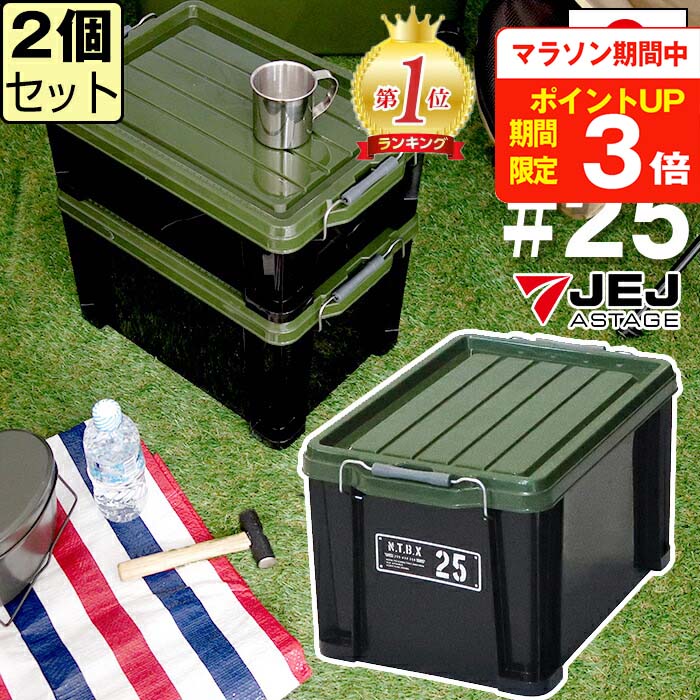 【セット特価】NTボックス 25X ≪同色2個セット≫ 収納ボックス フタ付き コンテナ バックル付き【送料無料】