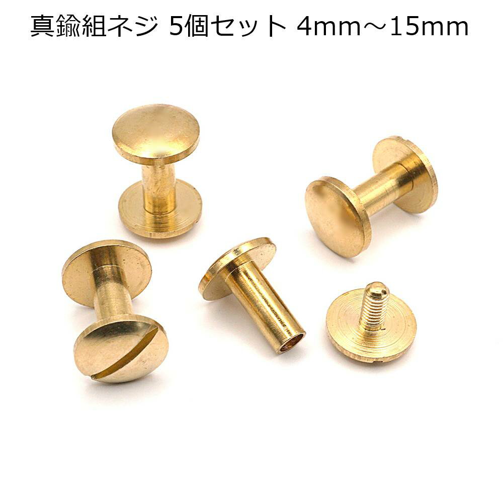 真鍮 組ネジ（ネジカシメ） 10mm頭 5個入り 4mm～15mm足 中国製 レザークラフト 真鍮金具 真鍮生地 シ..