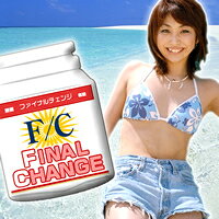 【今だけ全員オマケ付♪】『ファイナルチェンジ』※8月下旬出荷【0608超得】