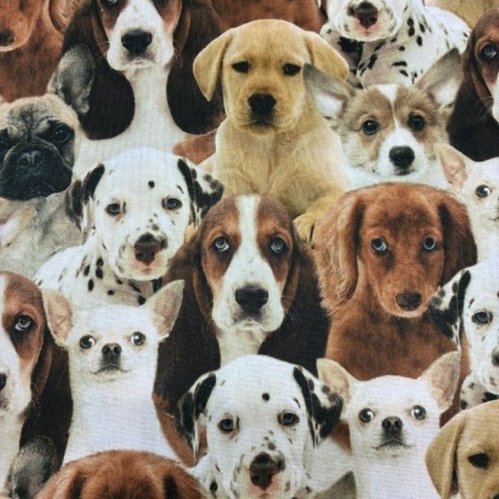 犬柄 犬 いぬ イヌ DOG 木綿 布 生地幅110cm 手作り 材料 USA 徳島 ダックリン