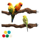 Hreaiaps 2本セット インコ とまり木 天然ブドウの木 爪とぎパーチ インコ 止まり木 爪を研ぎ 鳥スタンド 枝 インコ おもちゃ 鳥おもちゃ 噛むおもちゃ 鳥用品 鳥休み場所 インコ オウム パー