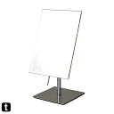 ダルトン(Dulton) 鏡 レクタングル スタンドミラー 高さ310×幅165×奥行135mm RECTANGLE STAND MIRROR G755-906