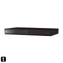 パナソニック DVDプレーヤー DVD-S500-K