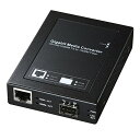 サンワサプライ 光メディアコンバータ(SFPモジュール・マルチ/シングルモード・ブリッジ型) LAN-EC212RF