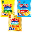 湖池屋 ポテトチップスラージサイズ 3種アソート 計12袋