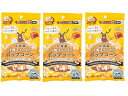 3袋セット 電子レンジ専用 北海道十勝キャラメルポップコーン〜黄金のとうもろこし畑から〜
