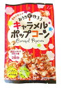 パイオニア企画 おうちで作ろうキャラメルポップコーン×2袋