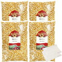 アリサン 有機ポップコーン1kg×4袋 オーガニック 無添加 とうもろこし 豆 種 ALISHAN popcorn 大容量 業務用 保存袋セット