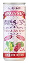 光食品 オーガニックぶどうサイダー+レモン 250ml×30本