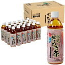 JA氷見市 氷見はとむぎ茶 500ml×24本 ペットボトル