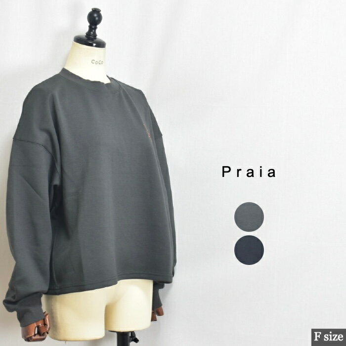 Praia プライア LEQ-25120 立体ステッチ ロゴ入 カットソー！中国製 サイズF colチャコール ブラック 0..