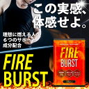 【50%OFFクーポン】 ダイエット サプリ ダイエットサプリ L-カルニチン α‐リポ酸 BCAA配合 カプサイシン 30日分 送料無料 FIREBURST 2