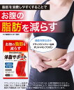 2袋セット お腹の脂肪を減らす ダイエットサプリ 体脂サポート ダイエット 内臓脂肪 皮下脂肪 ブラックジンジャー カルニチン HMB BCAA配合 30日分×2袋 送料無料 機能性表示食品 3