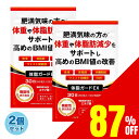 【50%OFFクーポン】 ダイエット サプリ ダイエットサプリ L-カルニチン α‐リポ酸 BCAA配合 カプサイシン 30日分 送料無料 FIREBURST