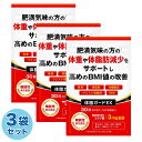 【本日楽天ポイント5倍相当】【送料無料】ベータ食品株式会社ベータ・スタイルカルニチン300　・120粒【RCP】【△】