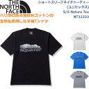 ノースフェイス Tシャツ ユニセックス ショートスリーブネイチャーティー ライフスタイル アウトドア キャンプ トレッキング S/S Nature Tee THE NORTH FACE NT32333